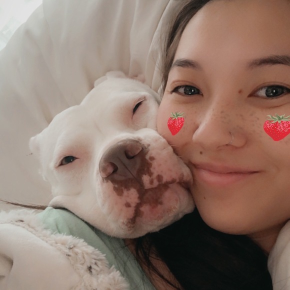 Meet your Posher, Jasmine - Picture 2 of 6